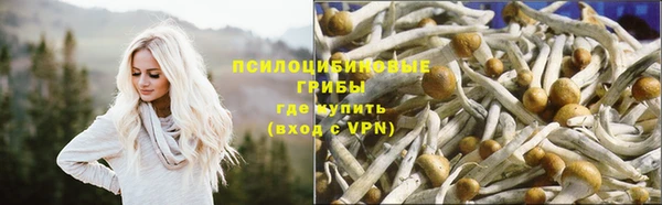 эйфоретик Абинск