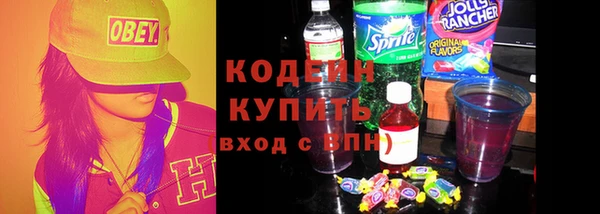 индика Абаза