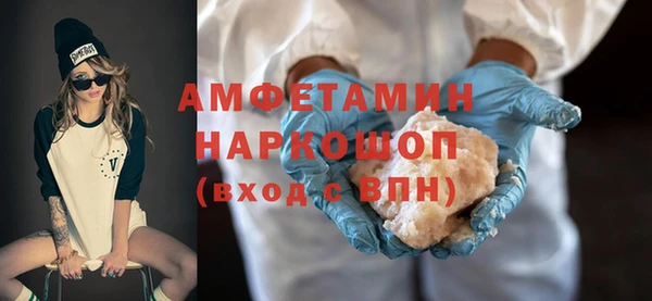 индика Абаза