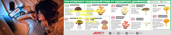эйфоретик Абинск