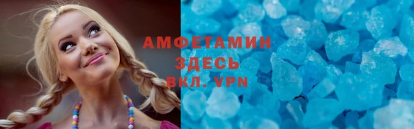 индика Абаза
