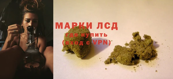 индика Абаза