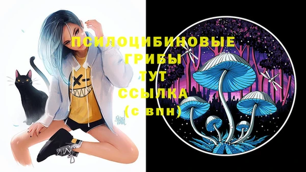 круглые Алзамай
