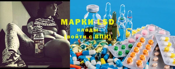 индика Абаза