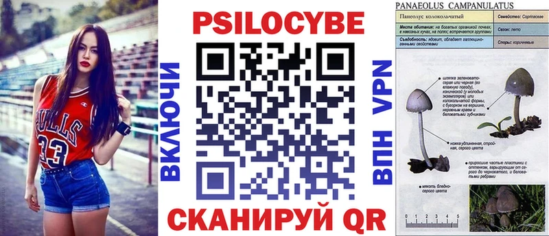 Псилоцибиновые грибы Magic Shrooms  kraken как войти  Шлиссельбург 